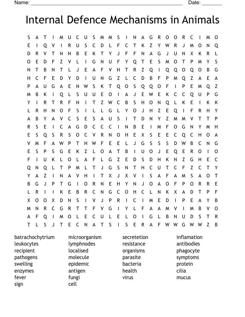 Internal Defence Mechanisms in Animals Word Search