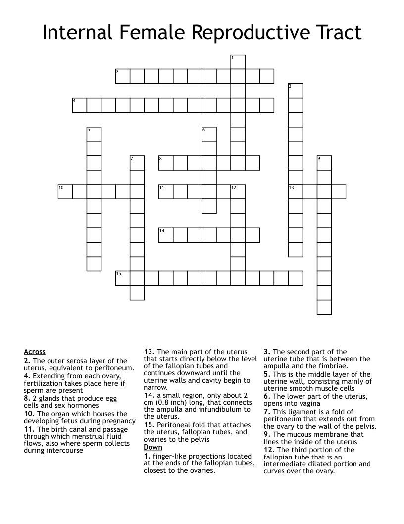 Internal Female Reproductive Tract Crossword