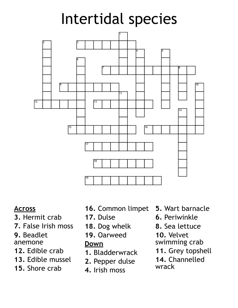 Intertidal species Crossword