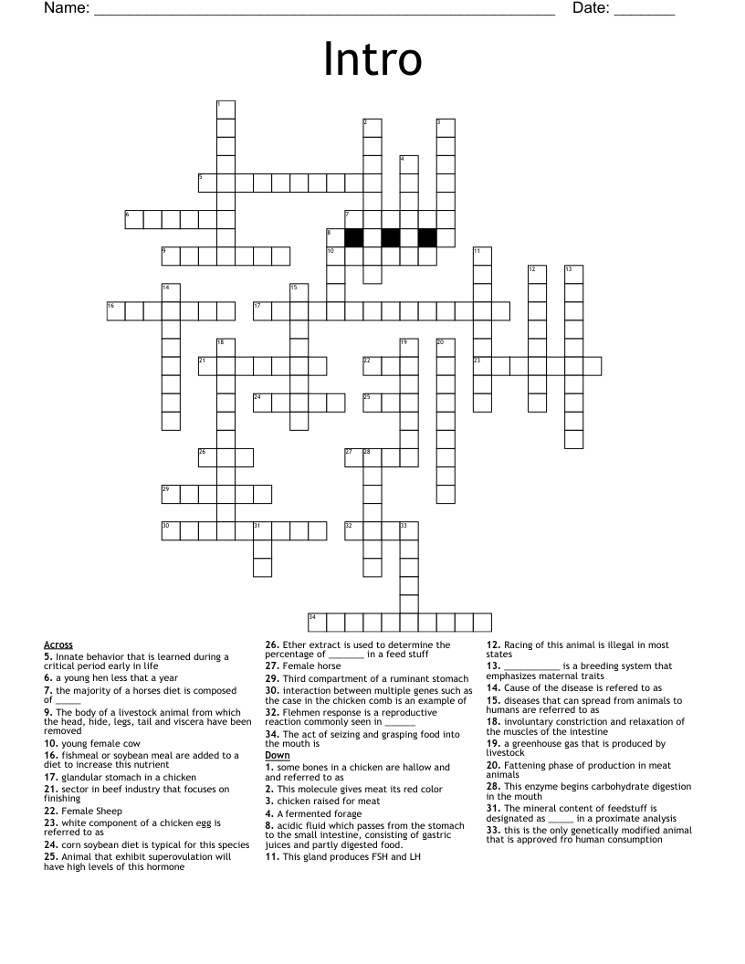 Intro Crossword