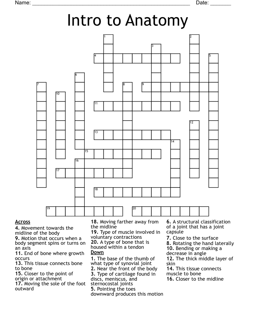 Intro to Anatomy Crossword