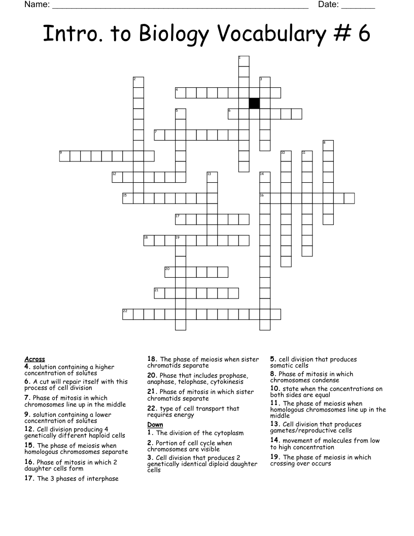 Intro. to Biology Vocabulary # 6 Crossword