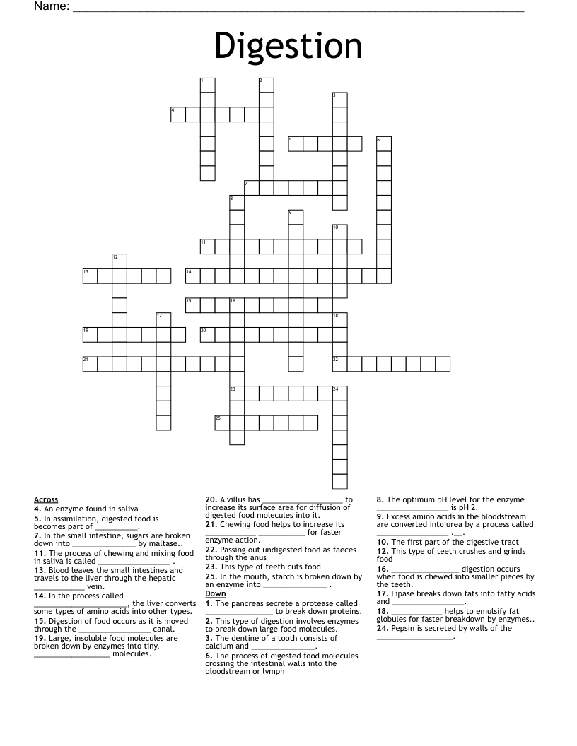  Digestion  Crossword