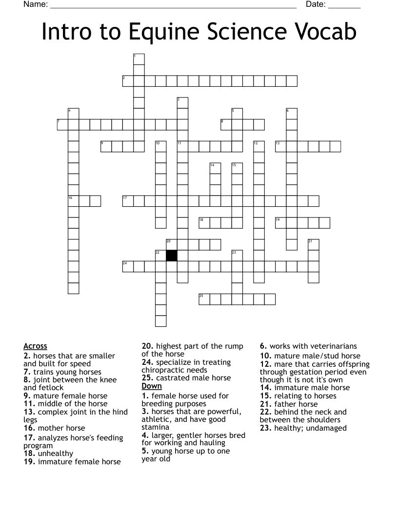 Intro to Equine Science Vocab Crossword