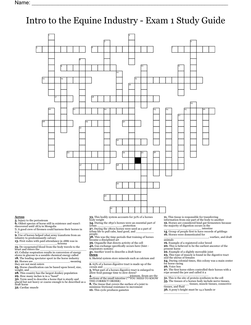 Intro to the Equine Industry - Exam 1 Study Guide Crossword