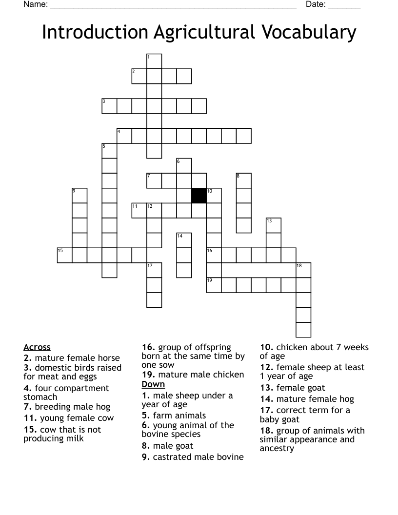 Introduction Agricultural Vocabulary Crossword