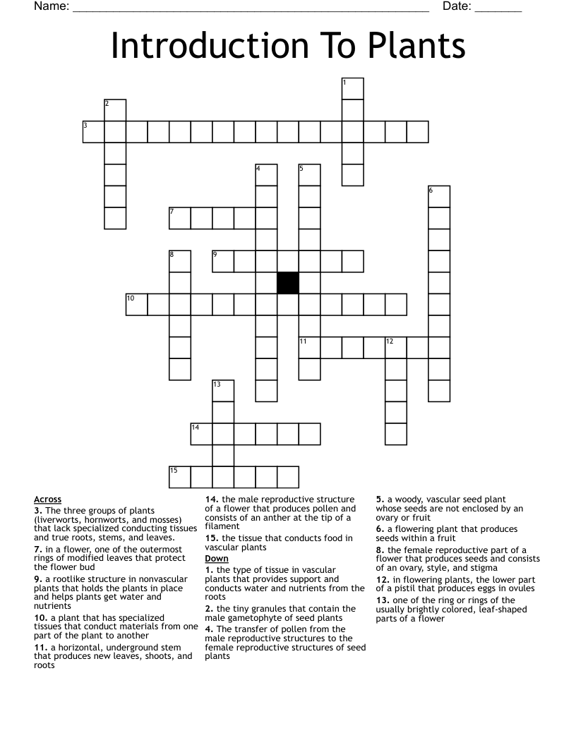 Introduction To Plants Crossword