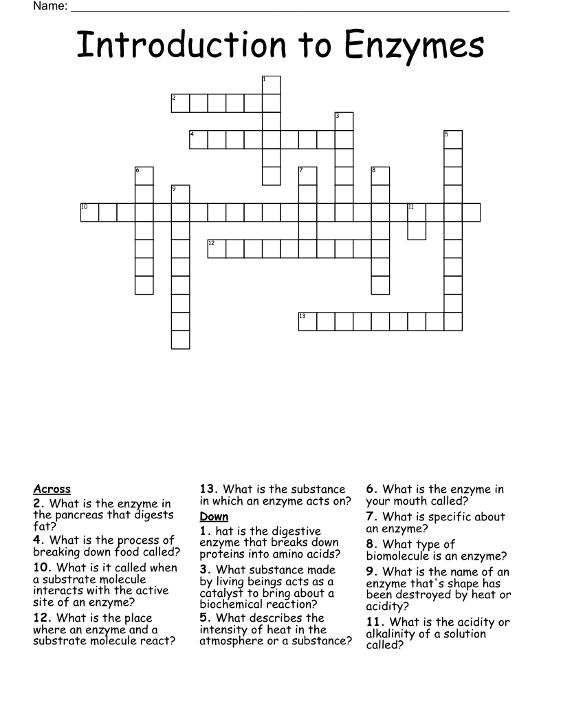 Introduction to Enzymes Crossword