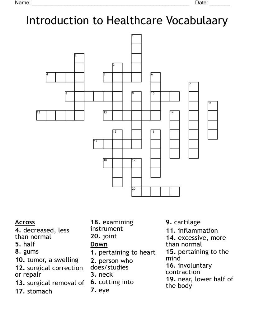 Introduction to Healthcare Vocabulaary Crossword
