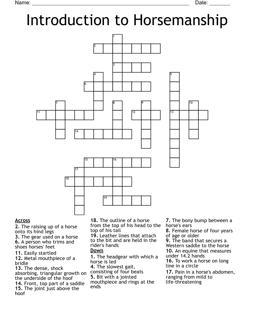 Introduction to Horsemanship Crossword