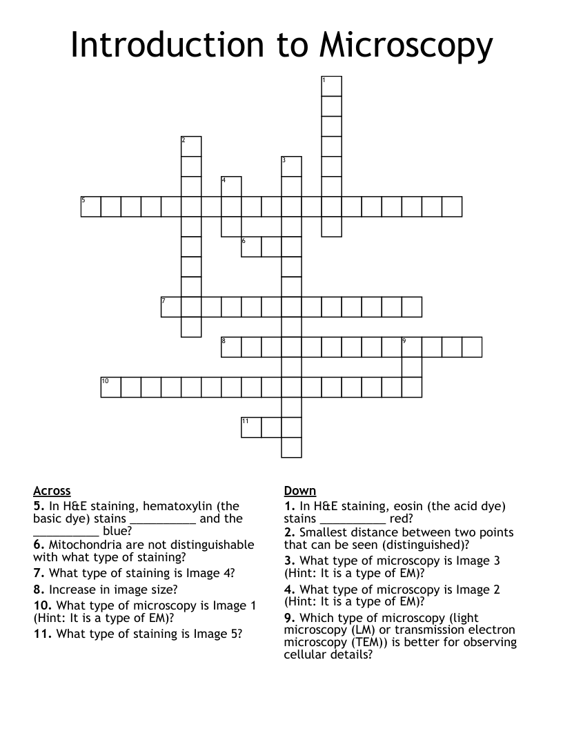 Introduction to Microscopy  Crossword