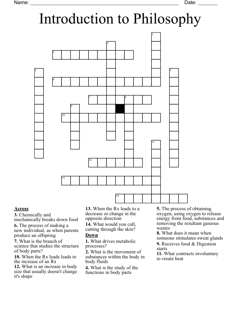 Introduction to Philosophy  Crossword