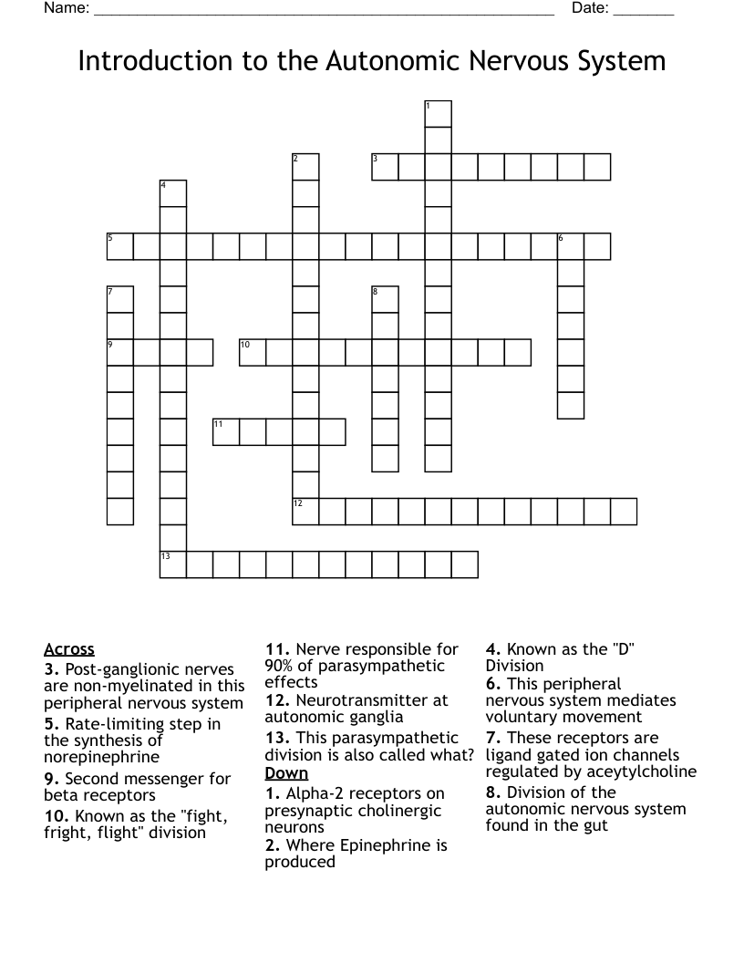 Introduction to the Autonomic Nervous System Crossword