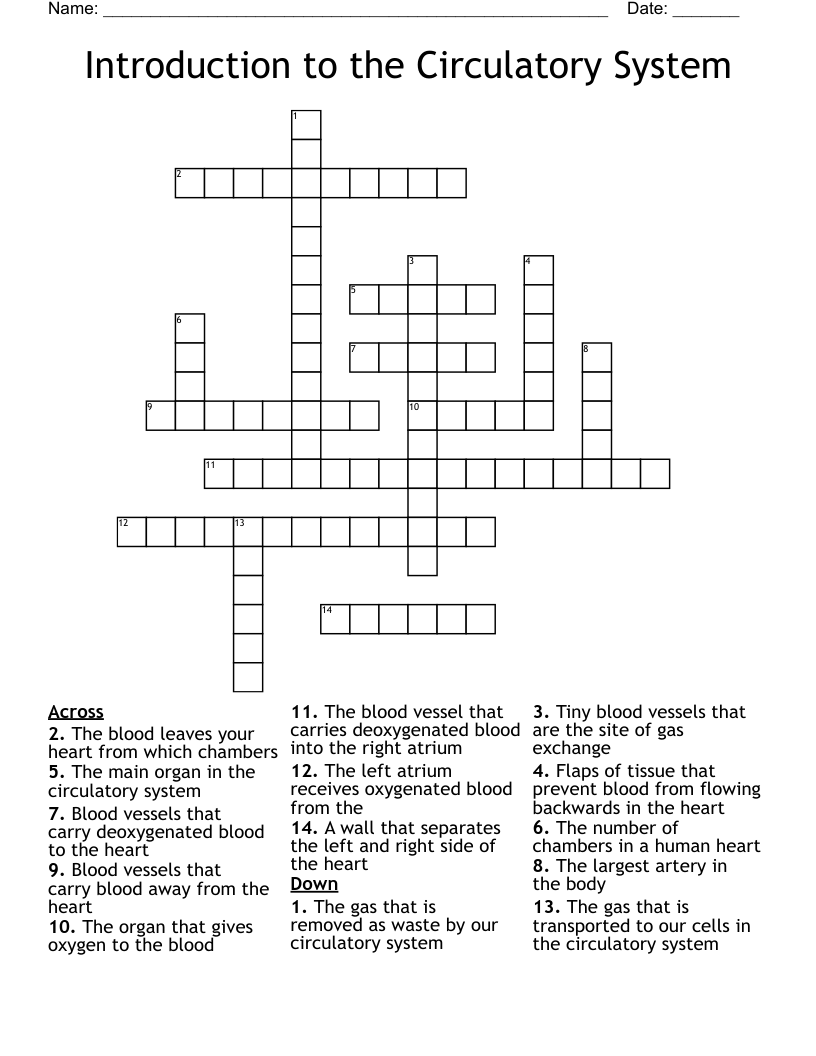 Introduction to the Circulatory System Crossword