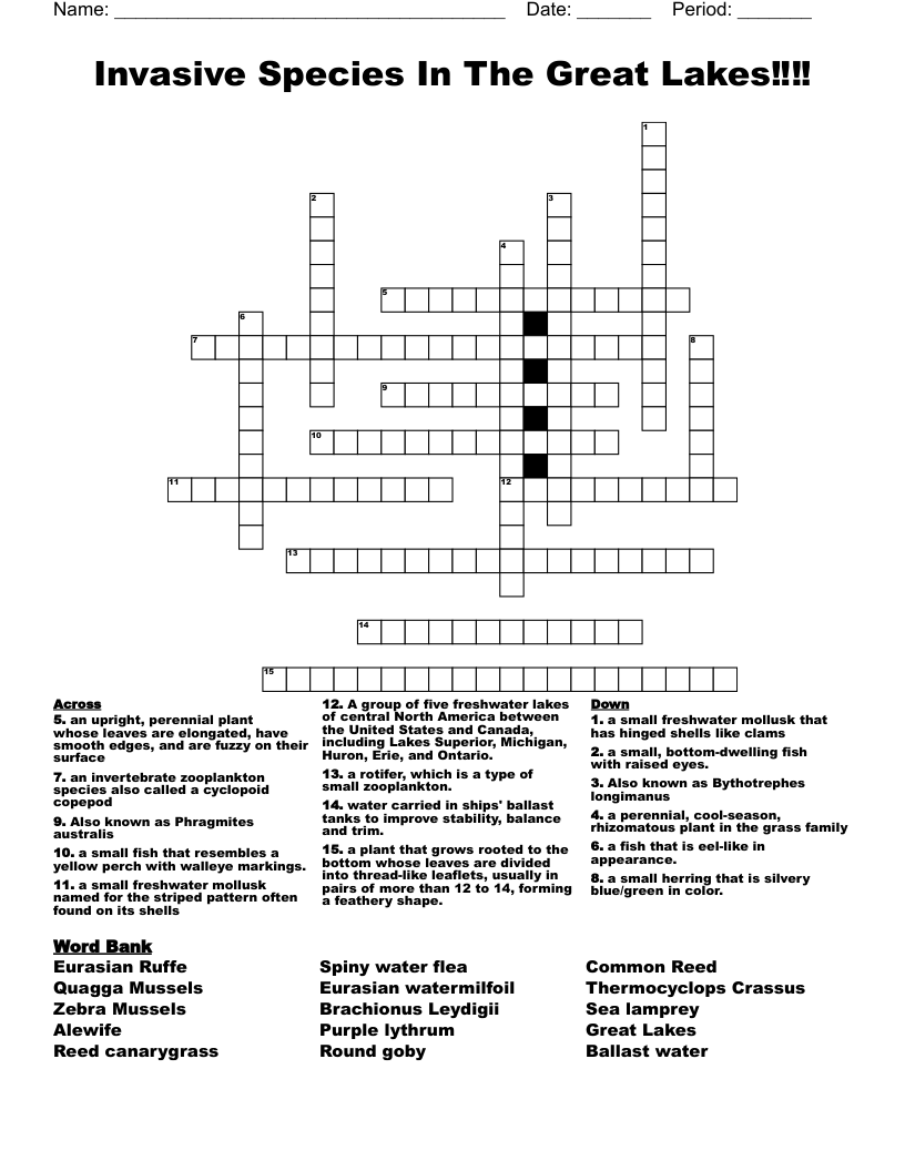 Invasive Species In The Great Lakes‼️‼️ Crossword