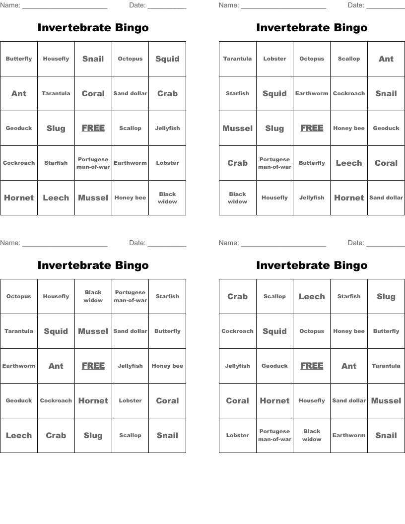 Invertebrate Bingo