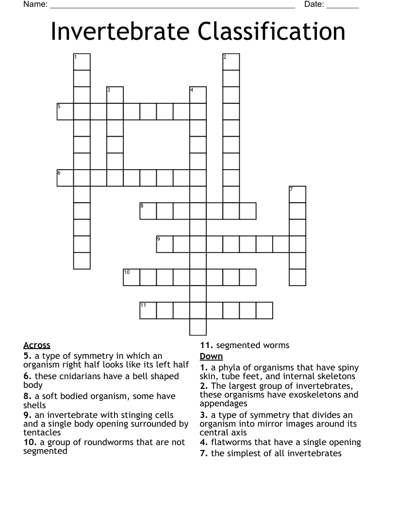 Invertebrate Classification  Crossword
