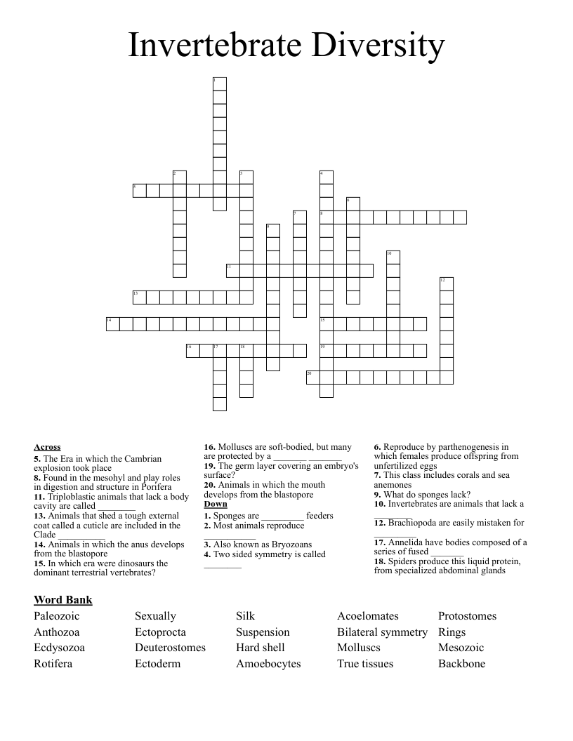 Invertebrate Diversity Crossword