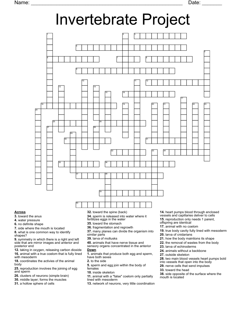 Invertebrate Project  Crossword