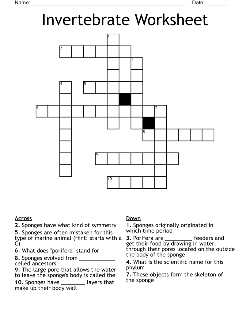 Invertebrate Worksheet Crossword