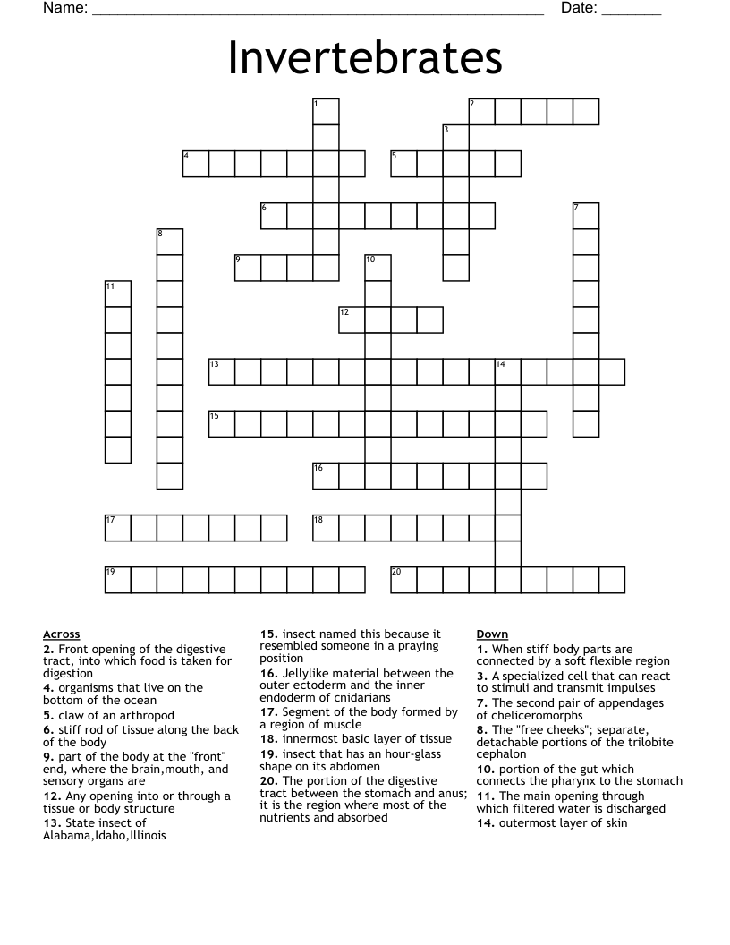 Invertebrates Crossword