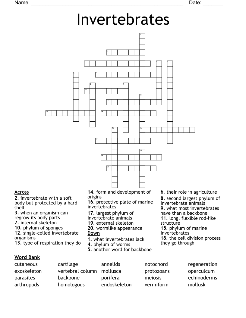 Invertebrates Crossword