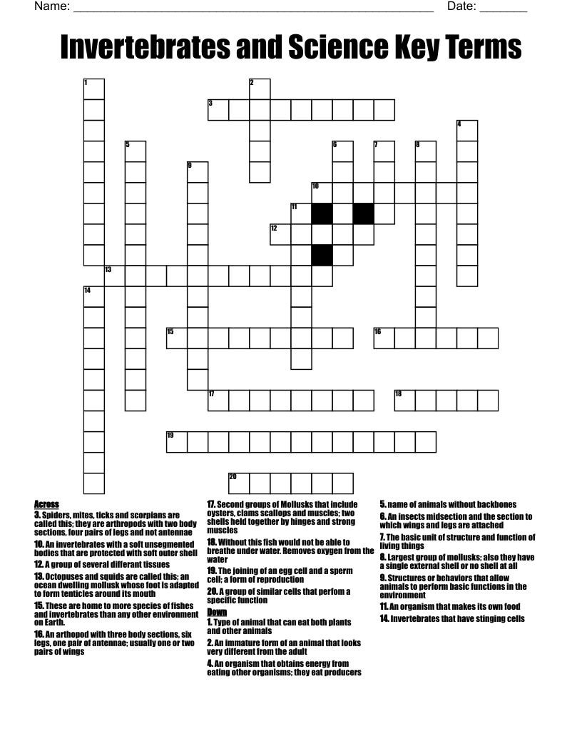 Invertebrates and Science Key Terms Crossword