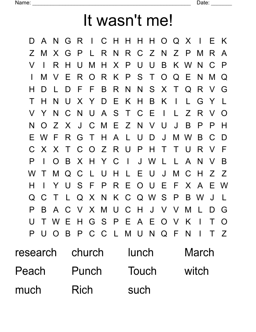 It wasn't me! Word Search