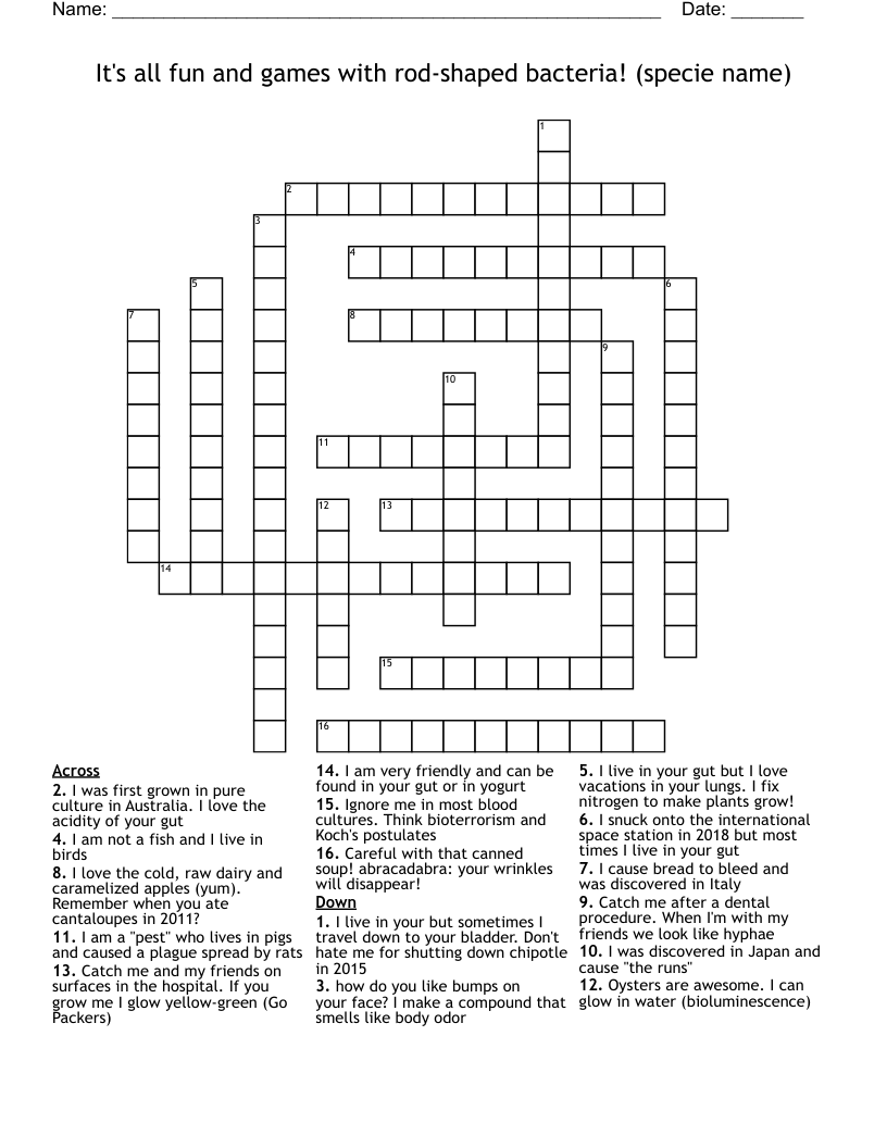 It's all fun and games with rod-shaped bacteria! (specie name)  Crossword