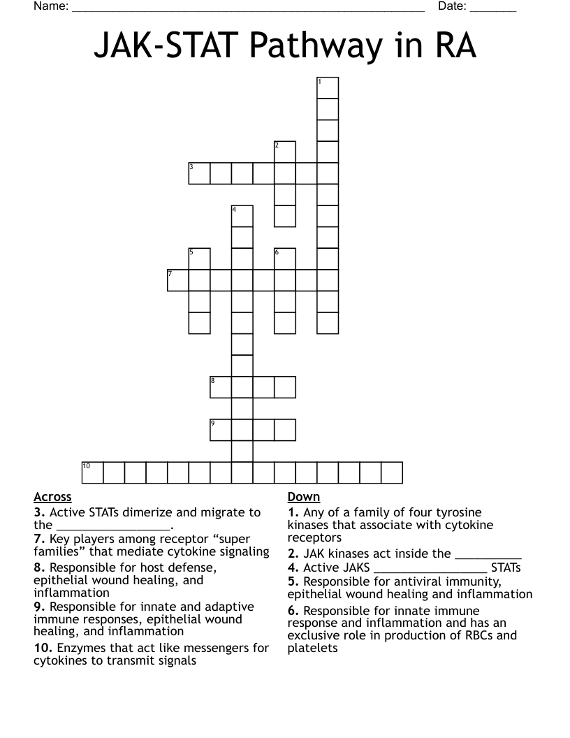 JAK-STAT Pathway in RA Crossword