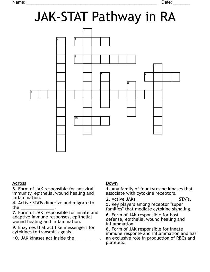 JAK-STAT Pathway in RA Crossword