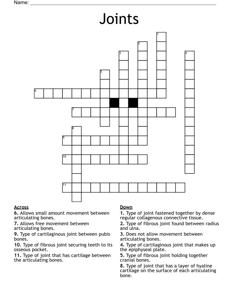 Joints Crossword