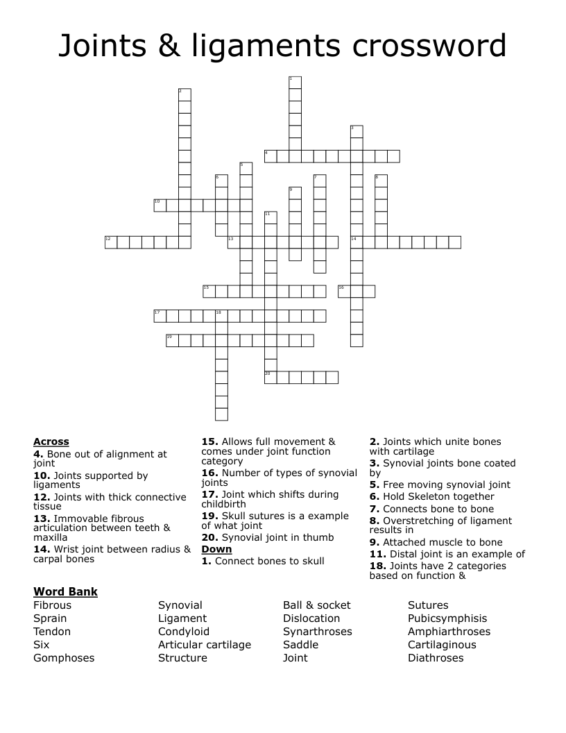 Joints & ligaments crossword