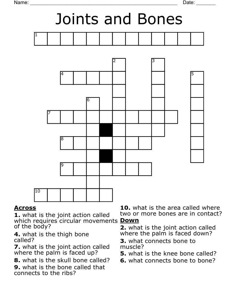 Joints and Bones Crossword