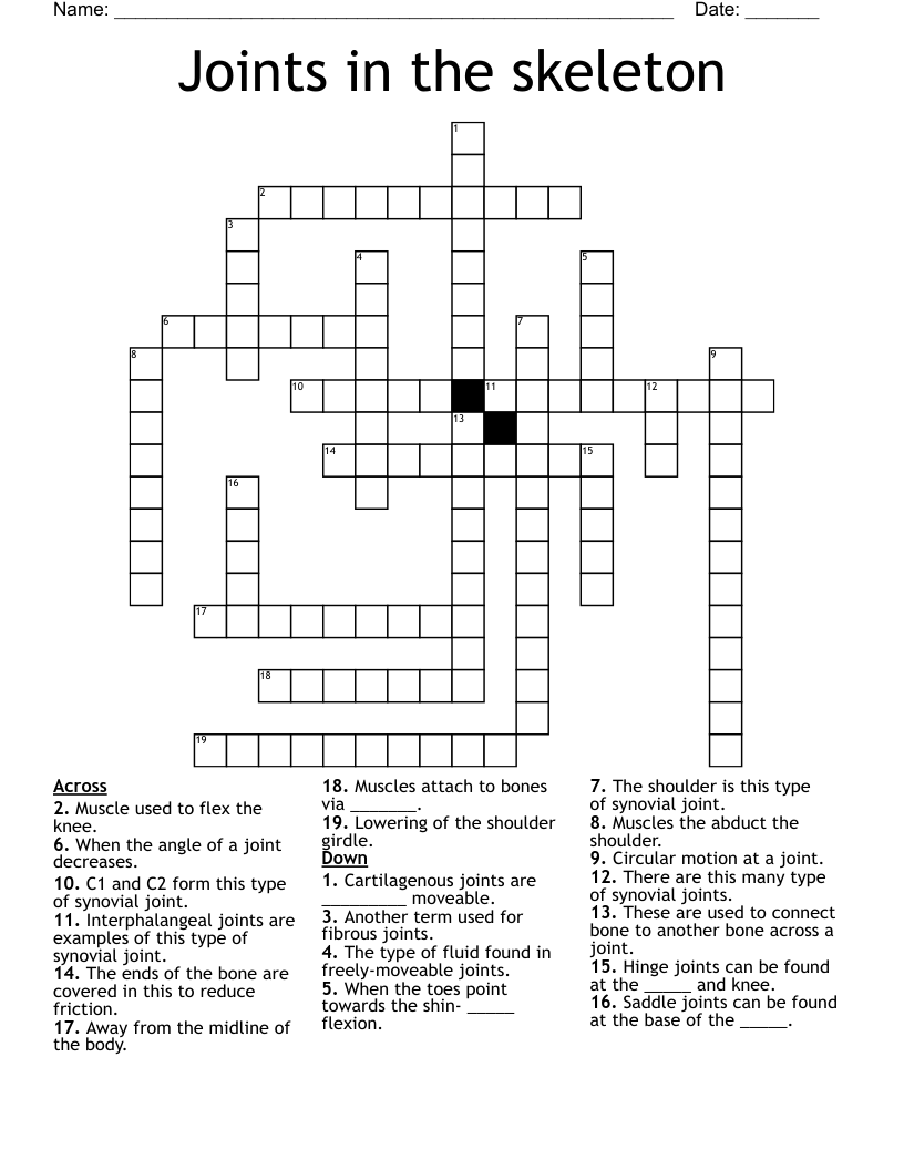 Joints in the skeleton Crossword