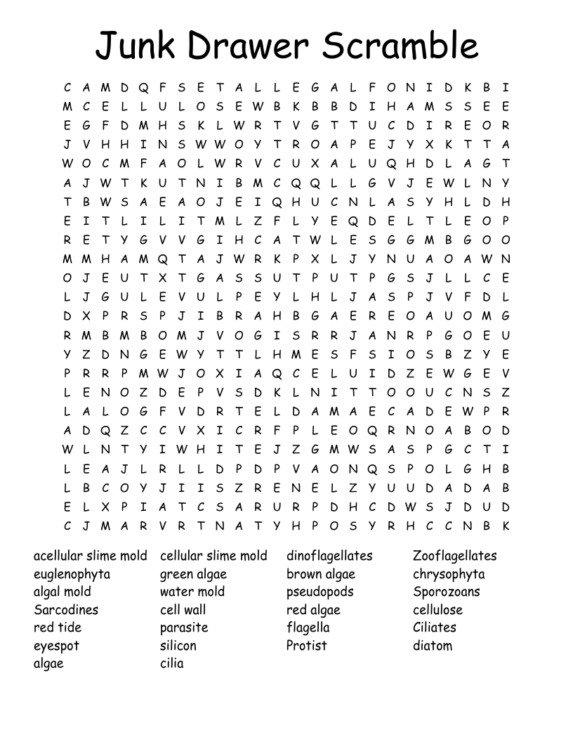 Junk Drawer Scramble Word Search