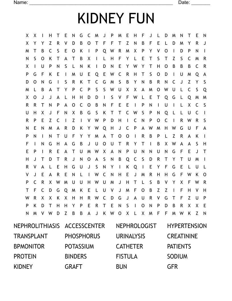 KIDNEY FUN Word Search