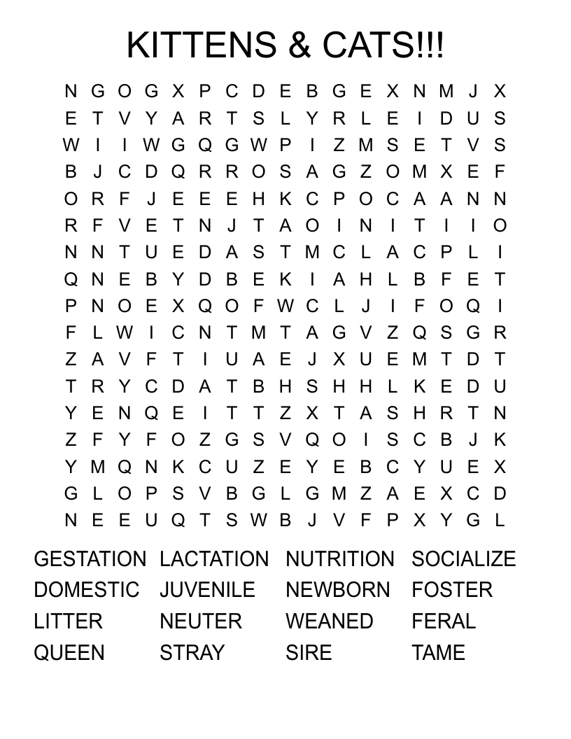 KITTENS & CATS!!! Word Search