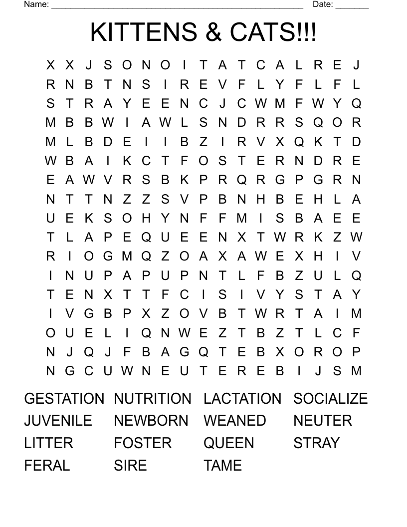 KITTENS & CATS!!! Word Search