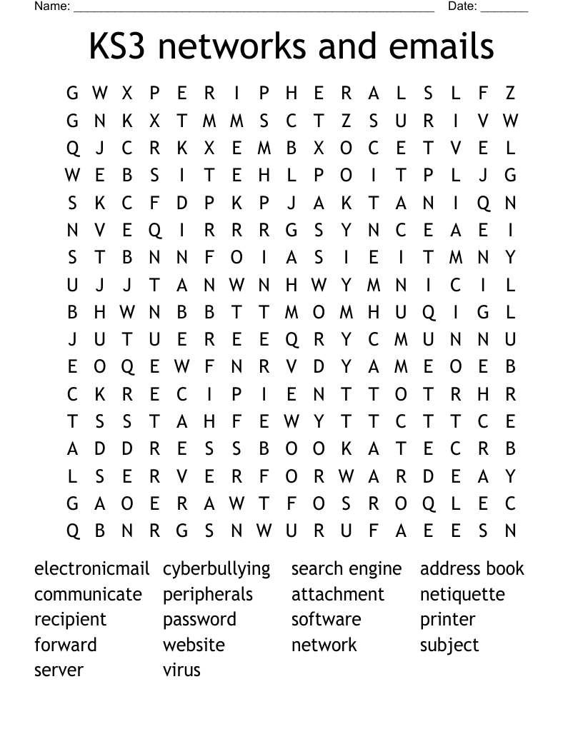 KS3 networks and emails Word Search