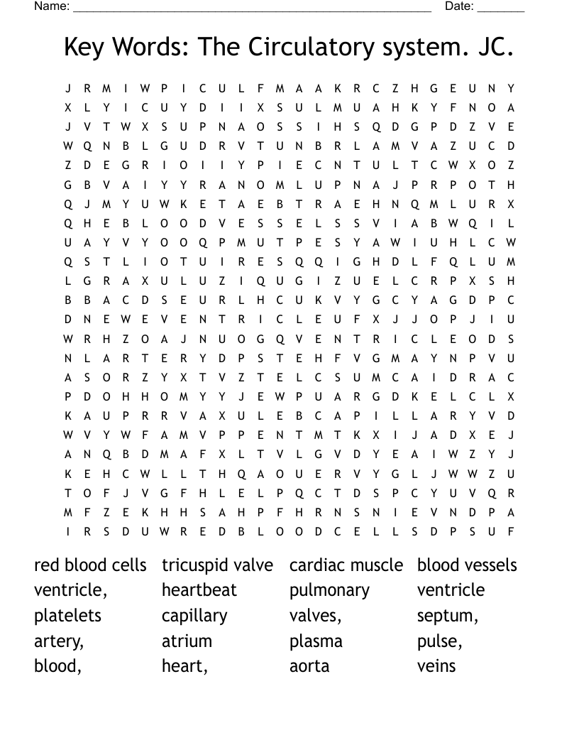 Key Words:  The Circulatory system. JC. Word Search