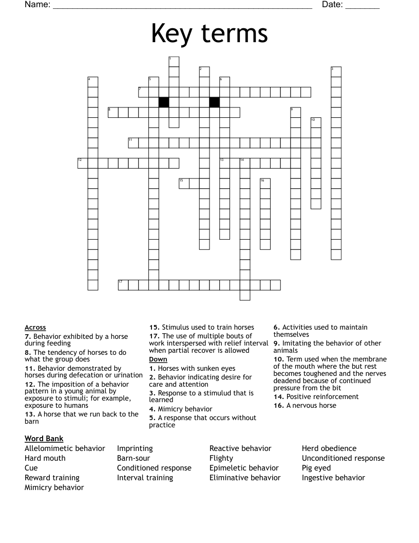 Key terms Crossword