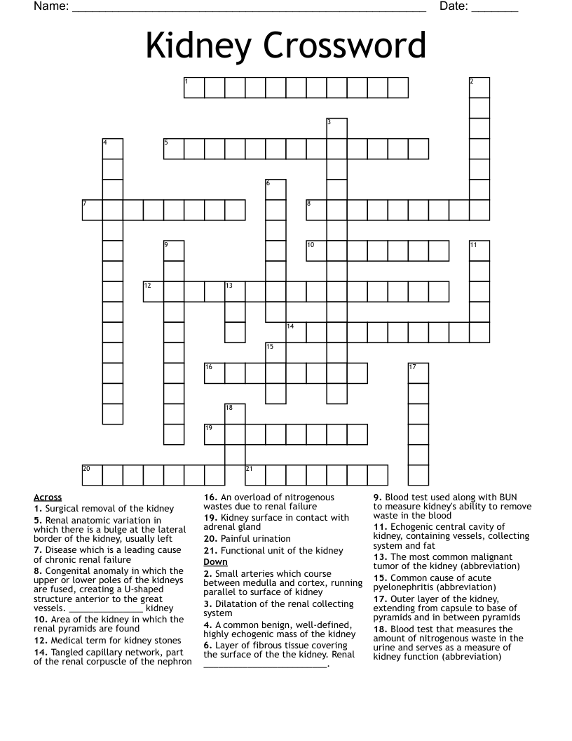 Kidney Crossword