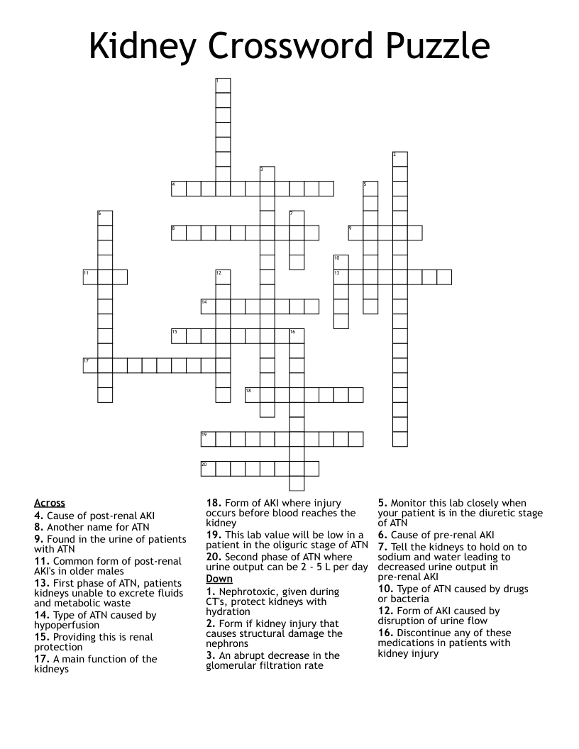 Kidney Crossword Puzzle