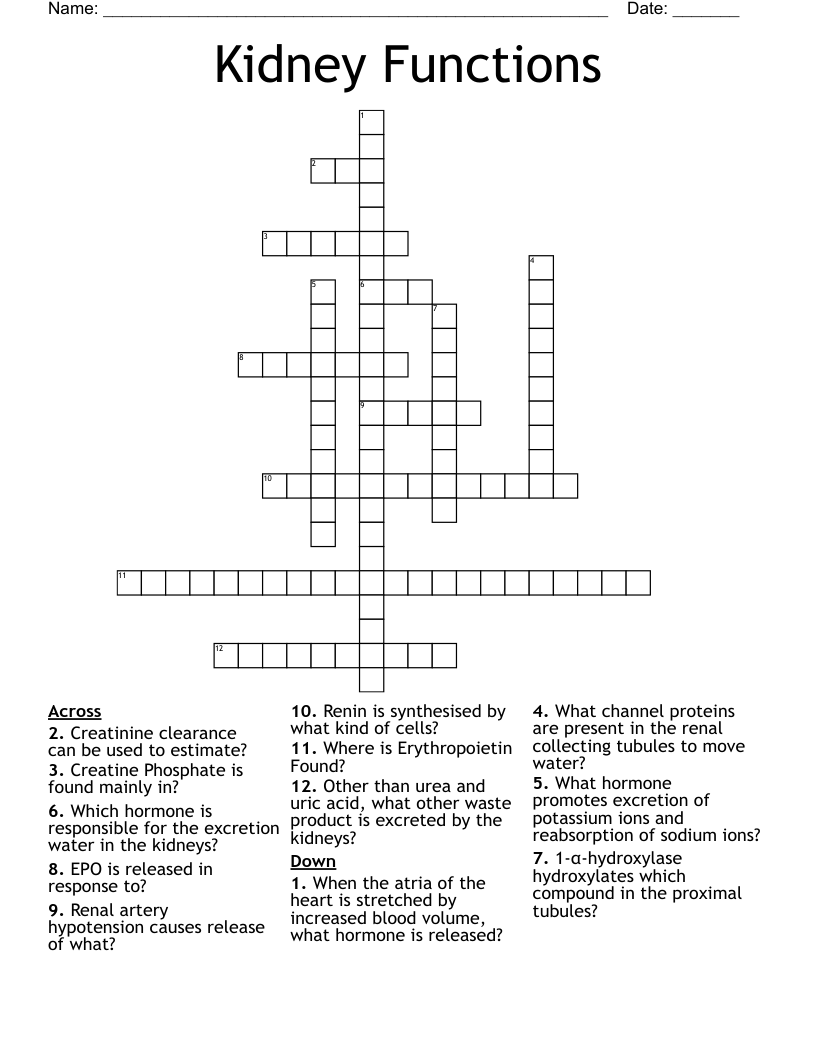 Kidney Functions Crossword