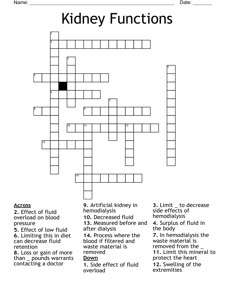 Kidney Functions Crossword
