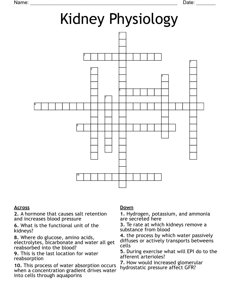 Kidney Physiology Crossword