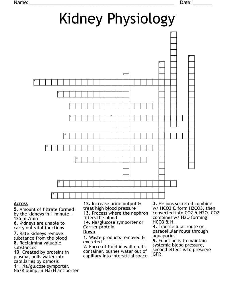 Kidney Physiology Crossword
