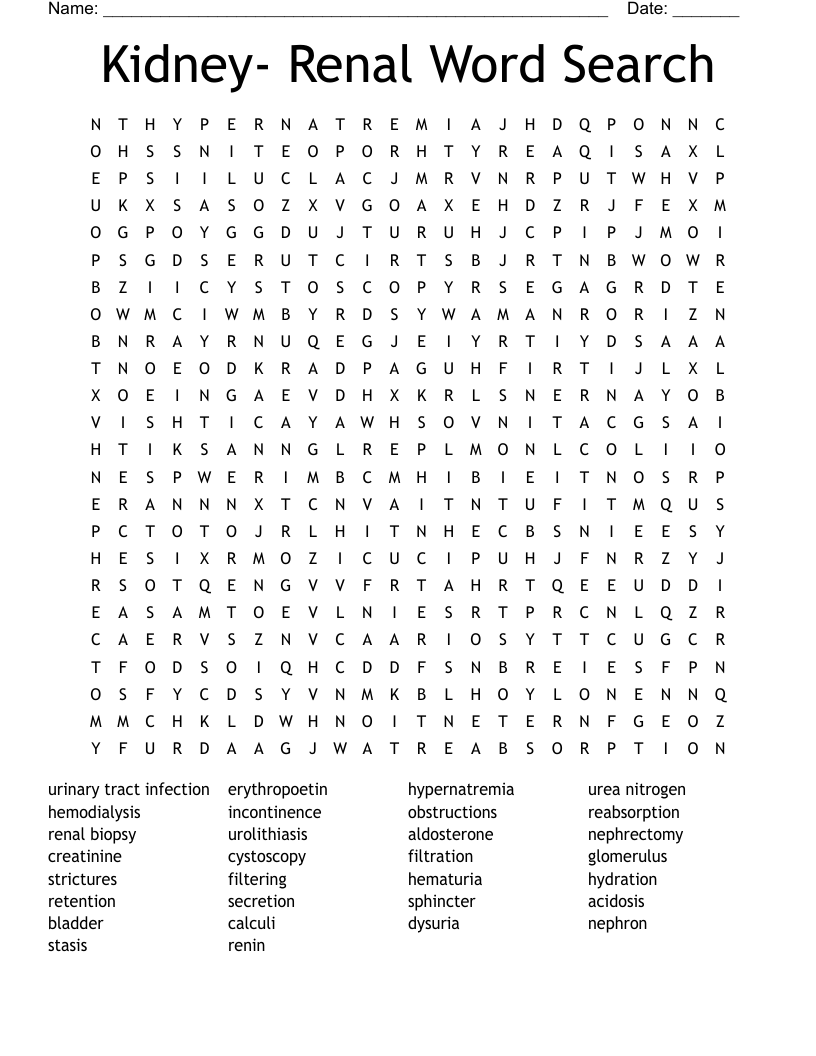 Kidney- Renal Word Search