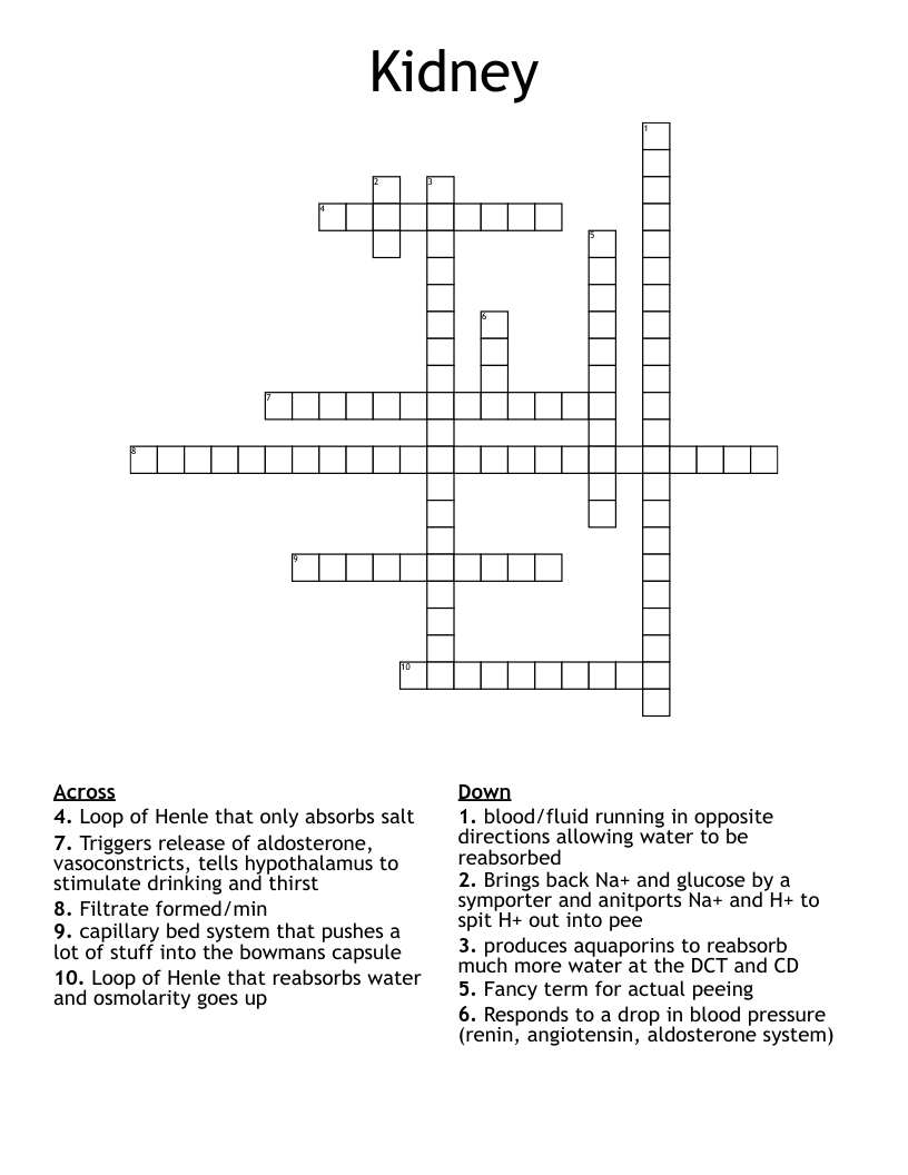 Kidney  Crossword